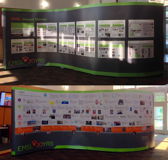 Trade Show Display